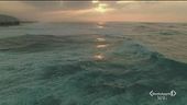 Aziende cosmetiche e oceano