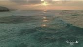 Aziende cosmetiche e oceano
