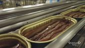 Delicius, l'azienda leader italiana per i filetti di alici