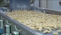 La pasta compie 175 anni