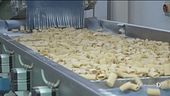 La pasta compie 175 anni