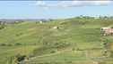 Le Langhe