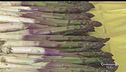 Gli asparagi di Santena