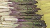 Gli asparagi di Santena