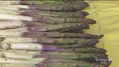 Gli asparagi di Santena