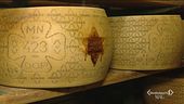 La magia del Grana Padano