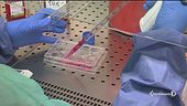 Virus, primi segni di frenata