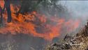 Vittime e danni, disastro incendi