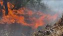 "L'allerta incendi è altissima"