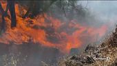 "L'allerta incendi è altissima"