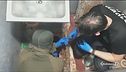 Leader Al-Fatah fugge dal carcere