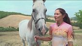 Da Revine alla Sicilia a cavallo