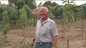 In Sardegna: la storia di un rabdomante