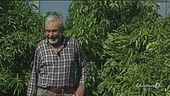 In Sicilia: un paradiso tropicale