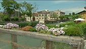 Alla scoperta di Borghetto sul Mincio