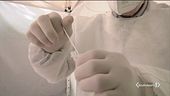 Virus, allarme bambini e nord-est