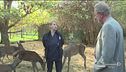 Una clinica per animali non convenzionali