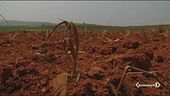 Clima, passo indietro dell'Italia