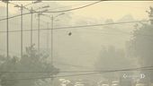 India in lockdown per smog