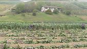 Talent scout di piccoli produttori agricoli
