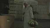 L'Immacolata di Papa Francesco