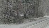 Primi fiocchi, è allerta neve