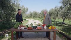 Giovedì 5 novembre | Bisceglie