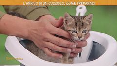 I nostri amici a quattro zampe