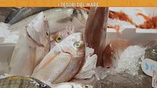 I tesori del mare