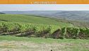 Il vino Orvieto Doc