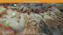 I segreti della pesca di Bari