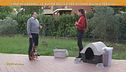 Come allestire un giardino per il nostro cane