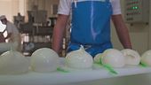 La burrata di Andria Igp