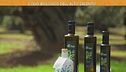 L'olio biologico dell'alto Salento