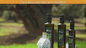 L'olio biologico dell'alto Salento