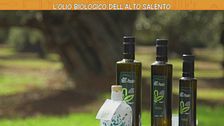L'olio biologico dell'alto Salento