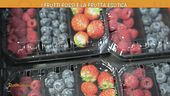 Frutti rossi e frutta esotica