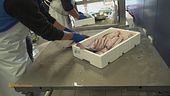 Caorle: la città dei pescatori