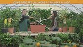 La rubrica del giardinaggio
