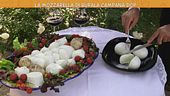 La mozzarella di bufala Campana Dop