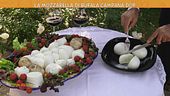 La mozzarella di bufala Campana Dop