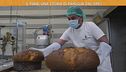 Il pane: storia di una famiglia dal 1950