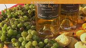 Il Torcolato doc