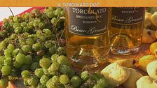 Il Torcolato doc