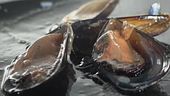 Le cozze pugliesi