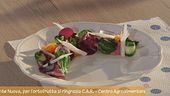 Insalata di roast beef alle verdure