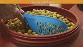 L'oliva di Gaeta Dop