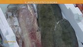 Il mercato ittico di Roma