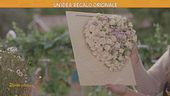 Un'idea regalo originale