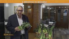 Il broccolo di Bassano